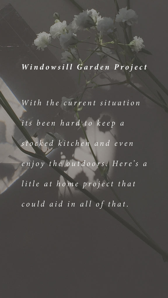 We Can Grow Together | Windowsill Garden Project