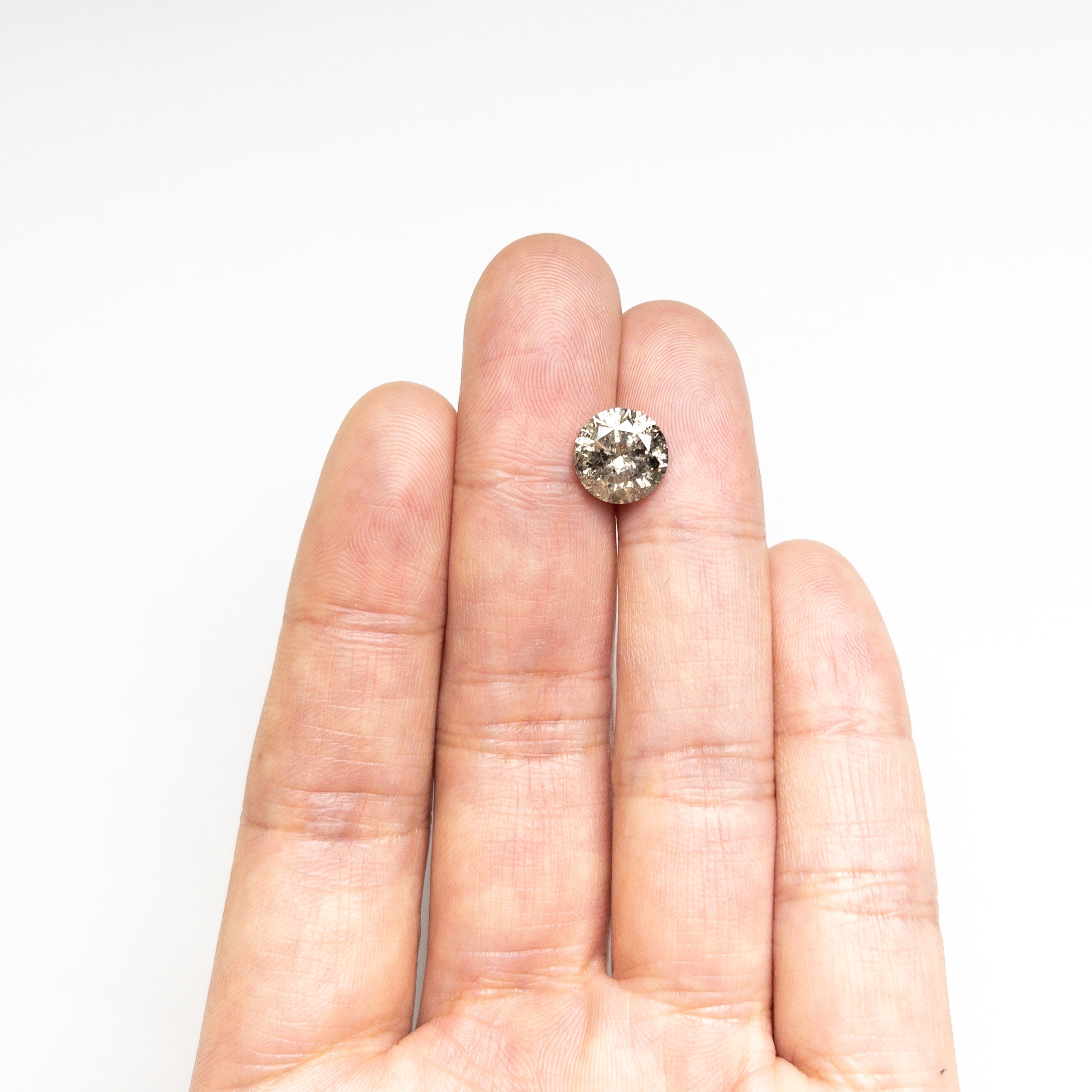 Salt and Pepper Brilliant Diamond - 3.22ct Round - Foe & Dear