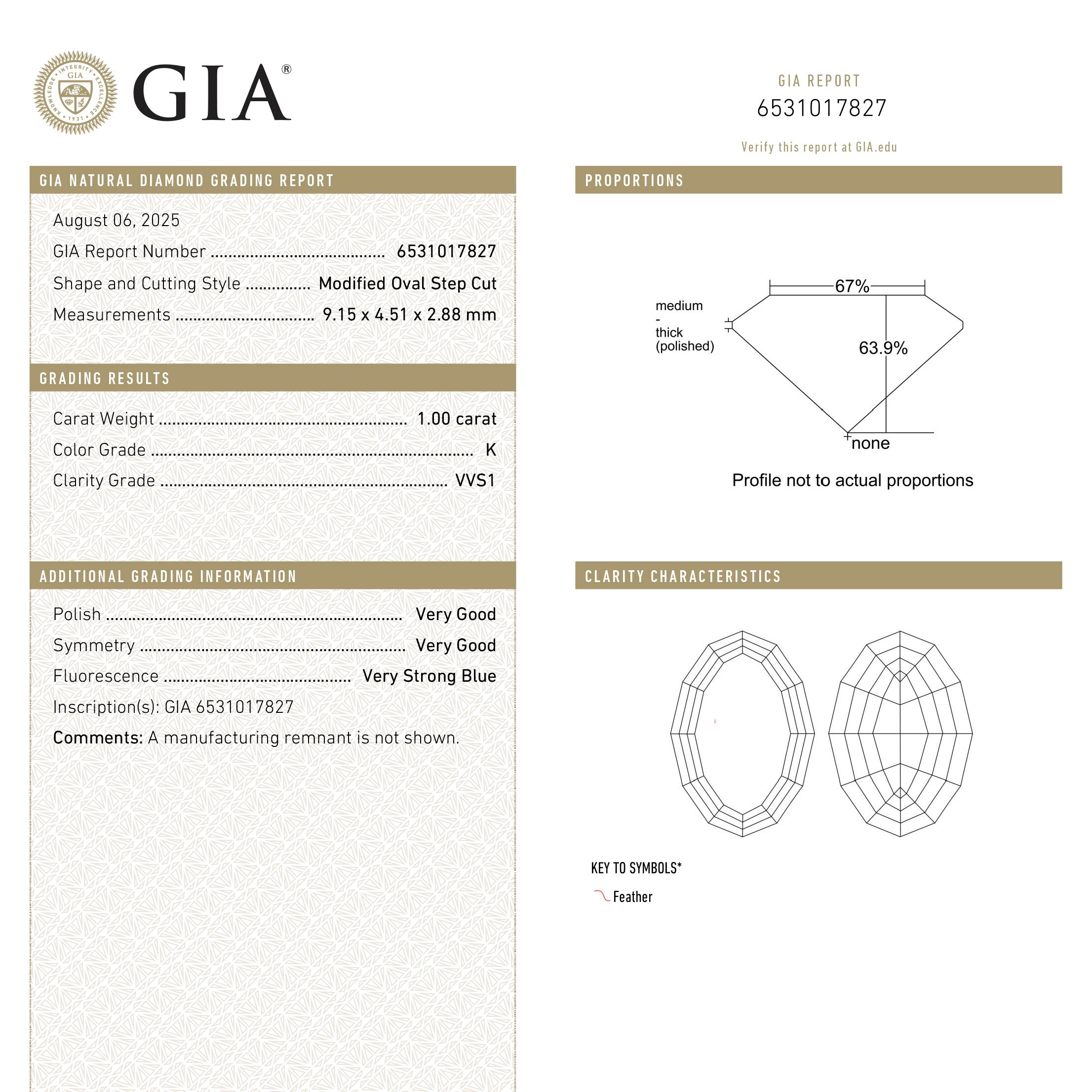 1.00ct 9.15x4.51x2.88mm GIA VVS1 K Geo Oval Step Cut 28330-01 - Foe & Dear