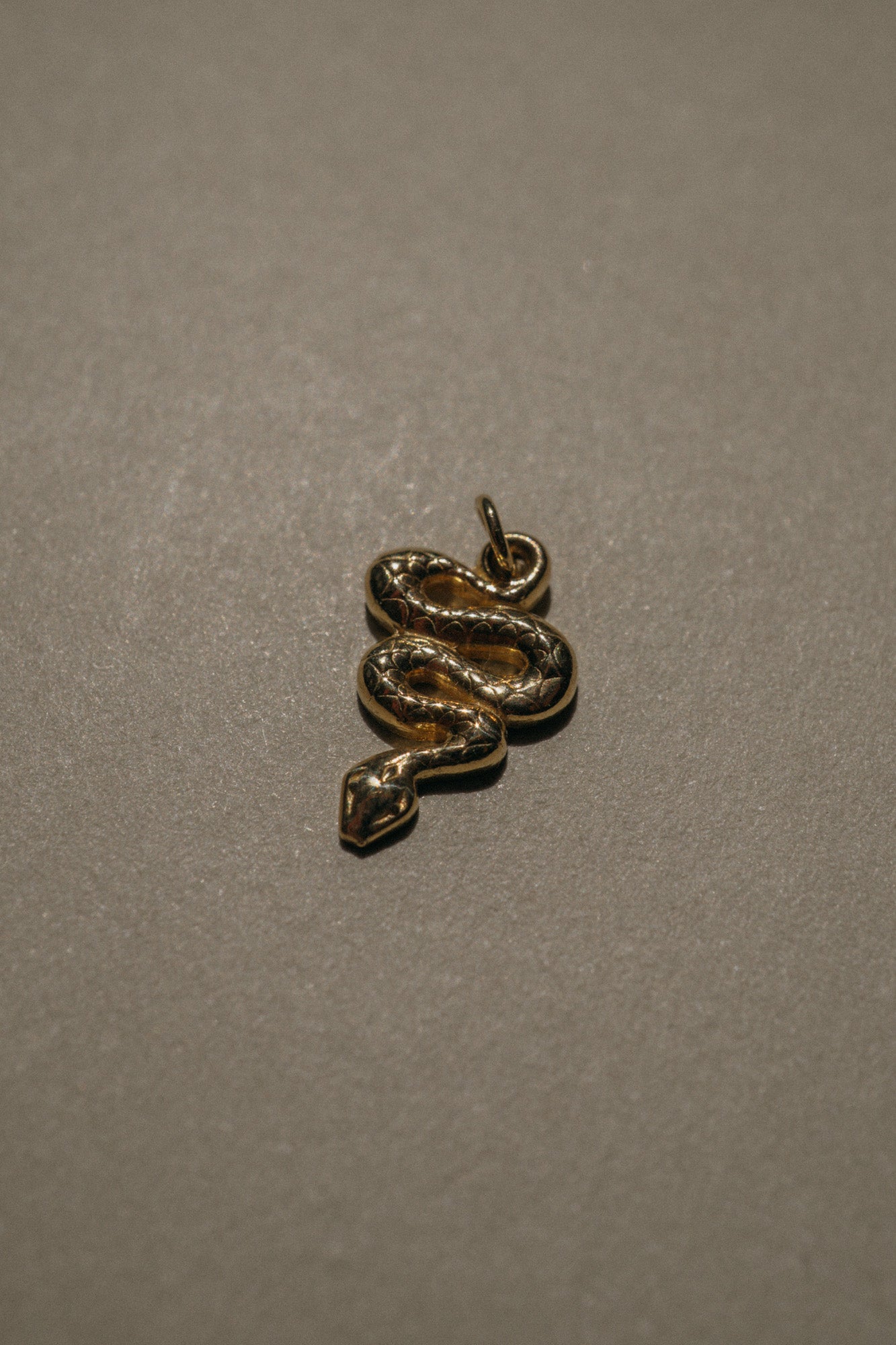 Foe & Dear | Archive Sale: 14k Yellow Gold Snake Charm Pendant *ready-to-ship