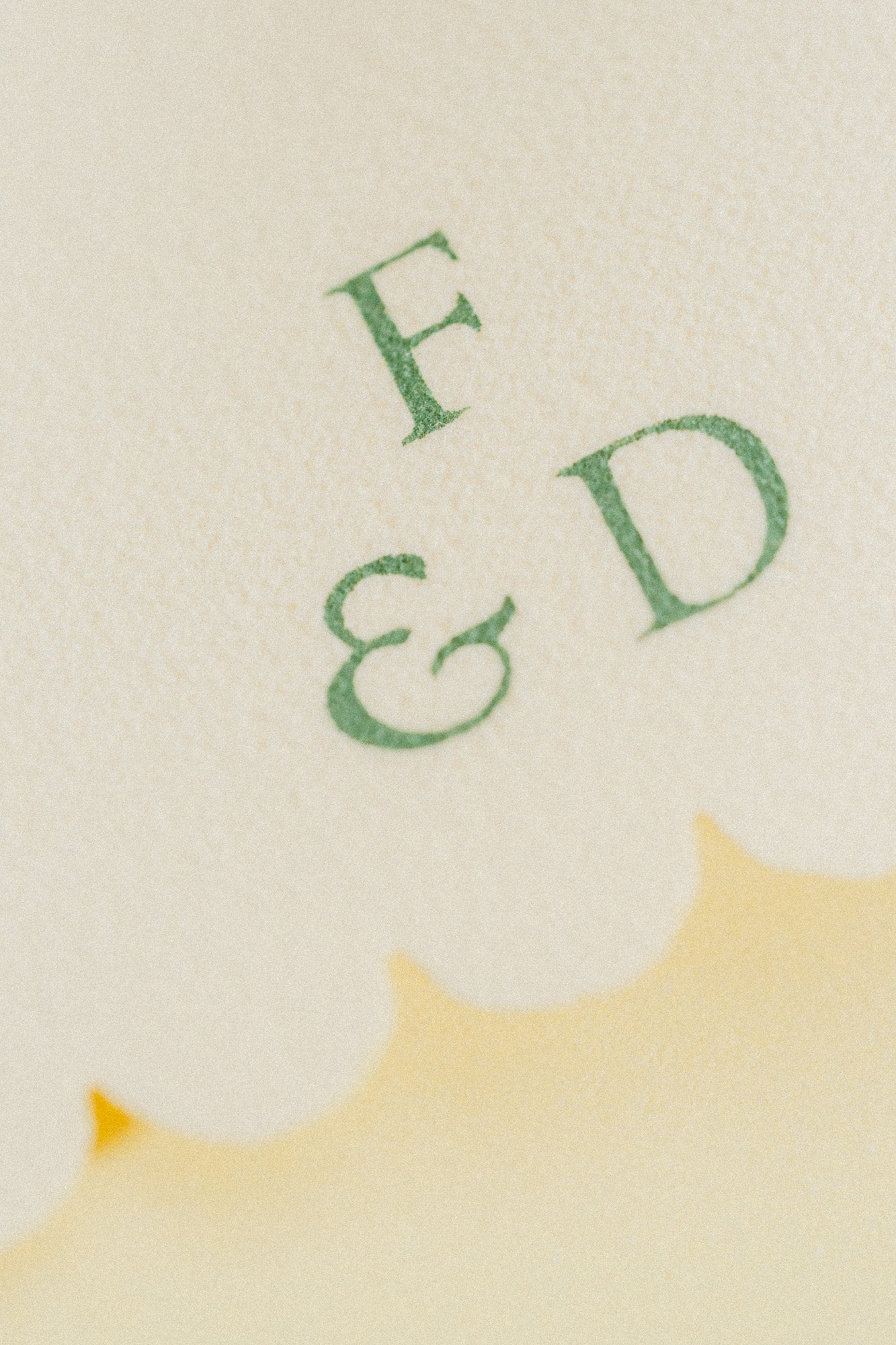 Polishing Cloth - Foe & Dear