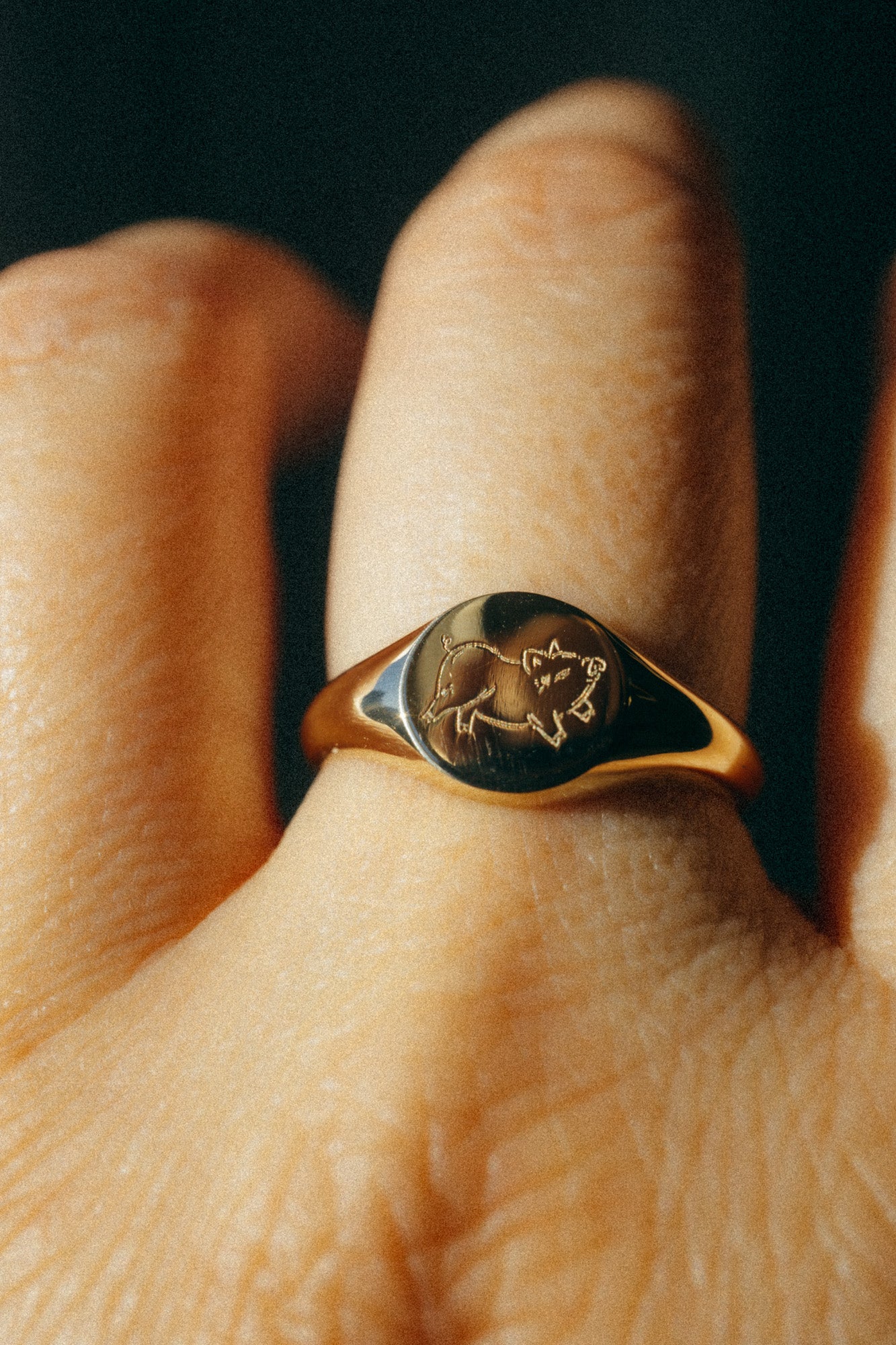 Bao Mini Ring - 14k Yellow Gold *made-to-order - Foe & Dear