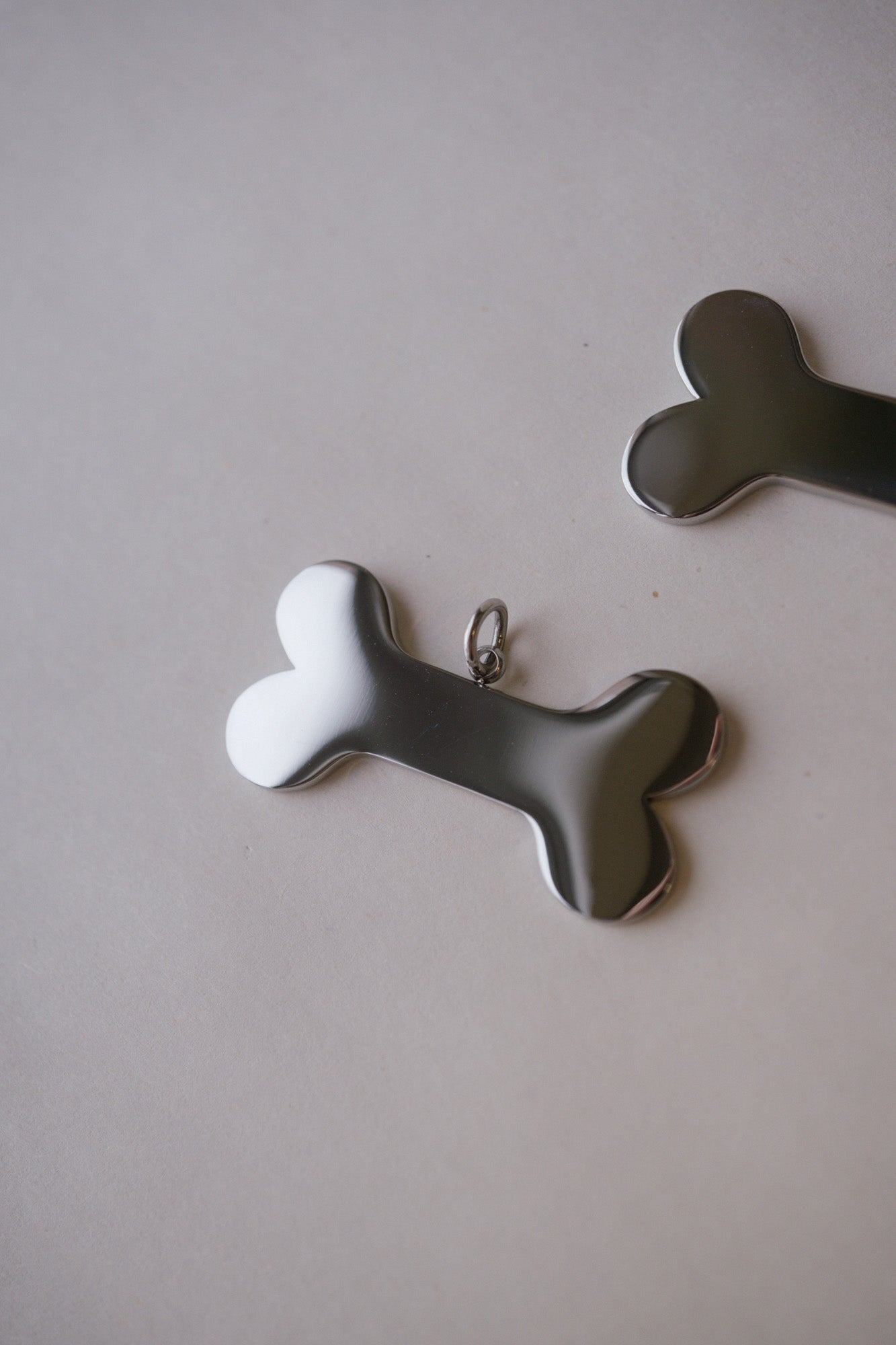 Stainless Steel Large Dog Bone Pet Pendant - Foe & Dear