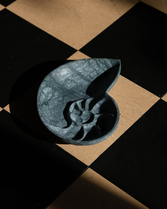 Nautilus Keepsake Dish - Moss