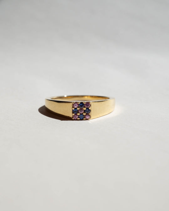 Duetto Signet Ring - Blue & Pink