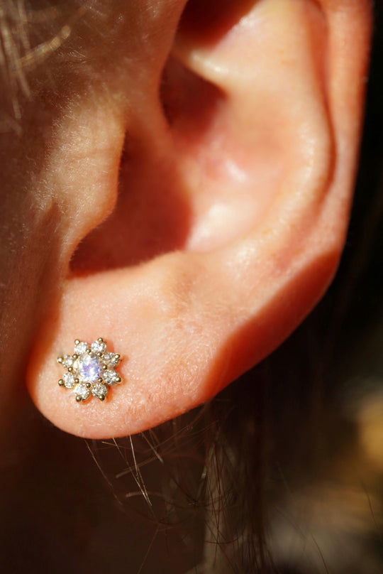 Bellis Studs - Moonstone *made-to-order