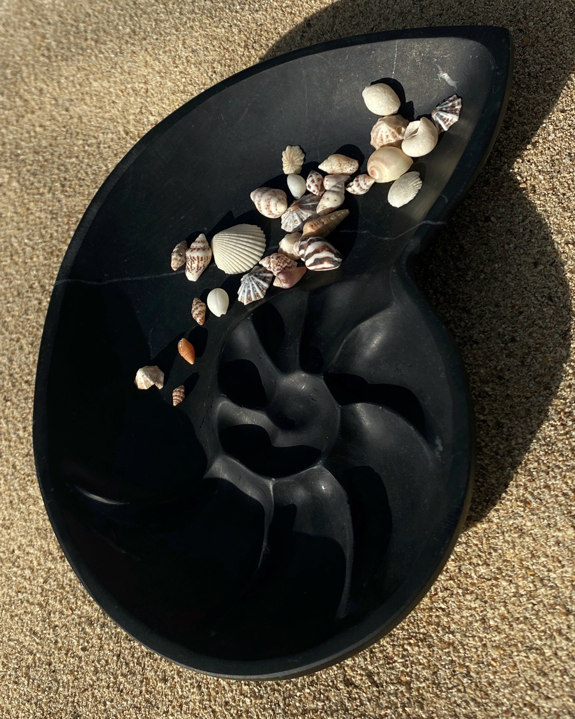 Nautilus Keepsake Dish - Midnight - Foe & Dear